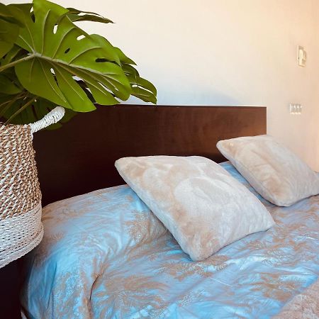 Lovely Triana Flat With Roof Terrace إشبيلية المظهر الخارجي الصورة