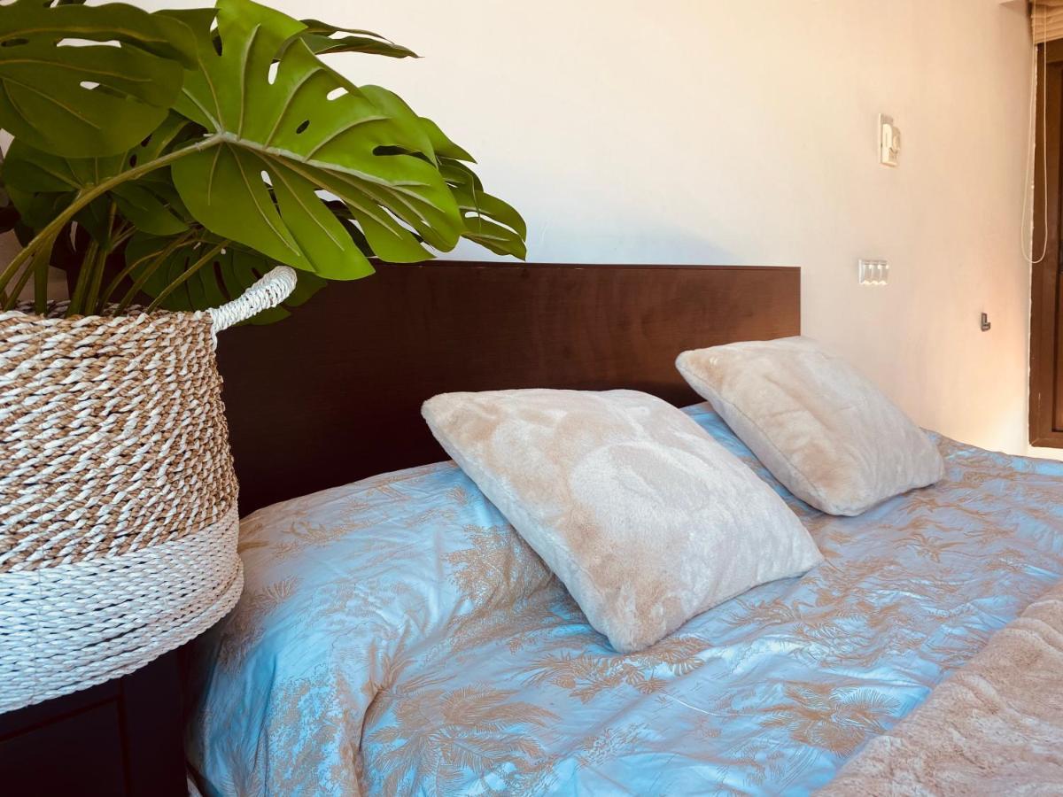 Lovely Triana Flat With Roof Terrace إشبيلية المظهر الخارجي الصورة